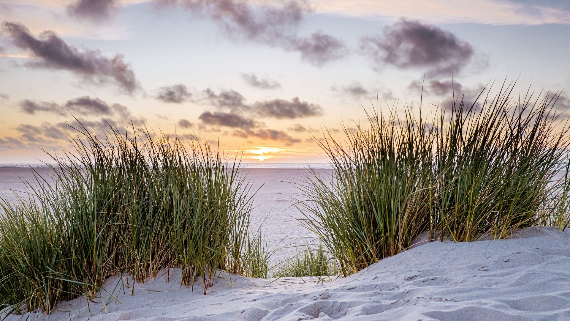 Bekendheid, imago en bezoekintentie van Texel