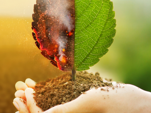 Trend Klimaatneutraal als nieuw normaal