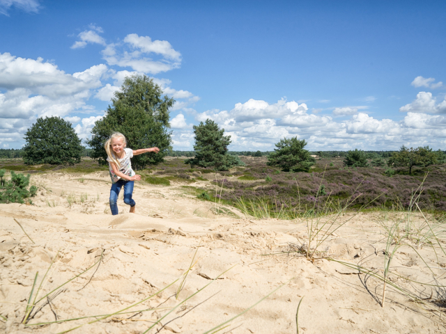 Foto: Theo de Witte