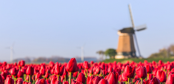 Event: werksessie circulair interieur